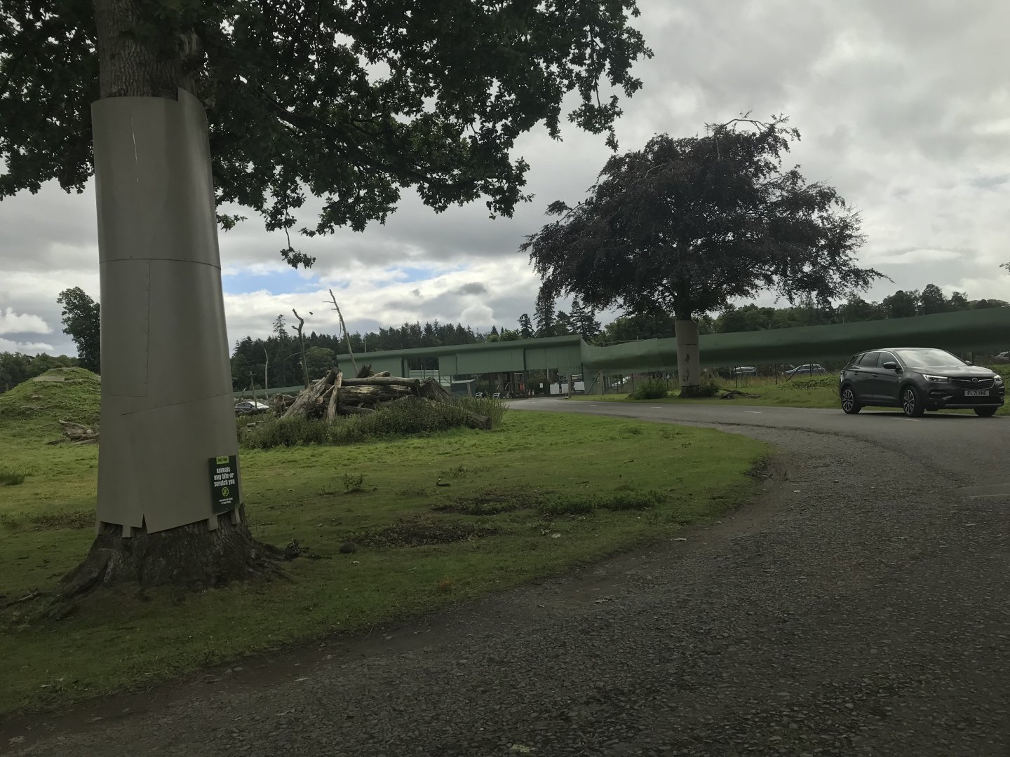 Barbary macaque reserve (4)