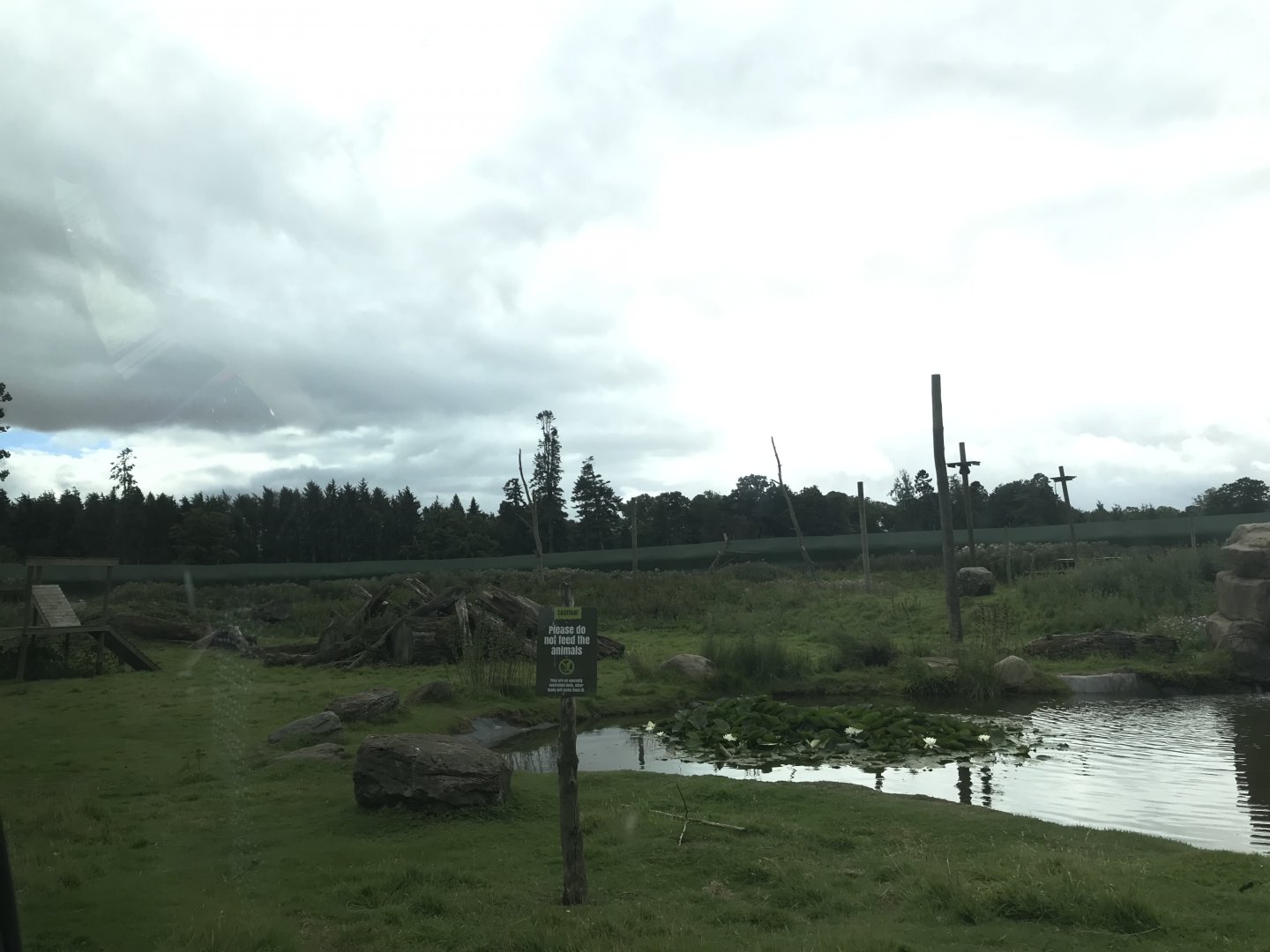 Barbary macaque reserve (5)