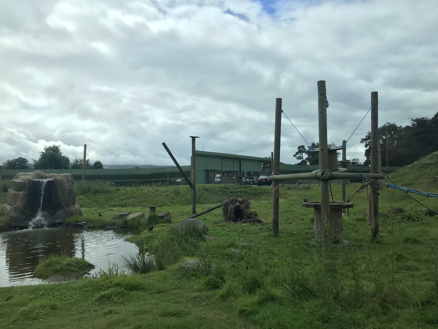 Barbary macaque reserve (6)
