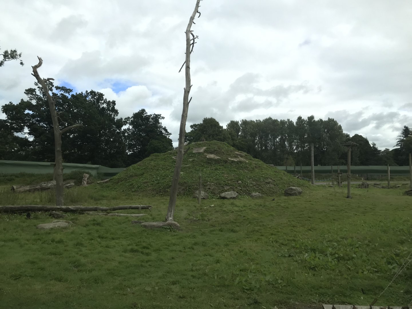 Barbary macaque reserve