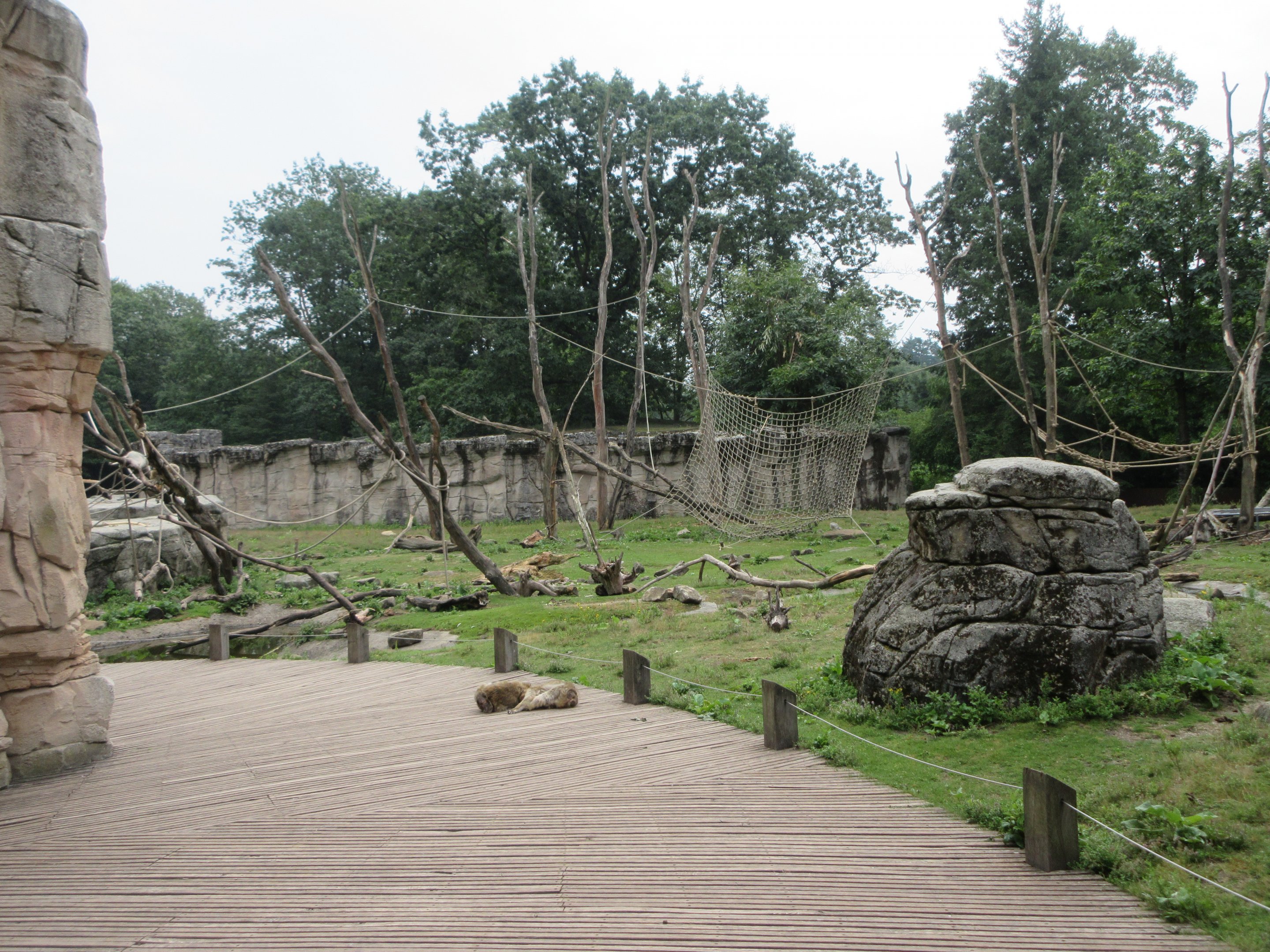 Barbary Macaque/Sahara Barbary Sheep Exhibit