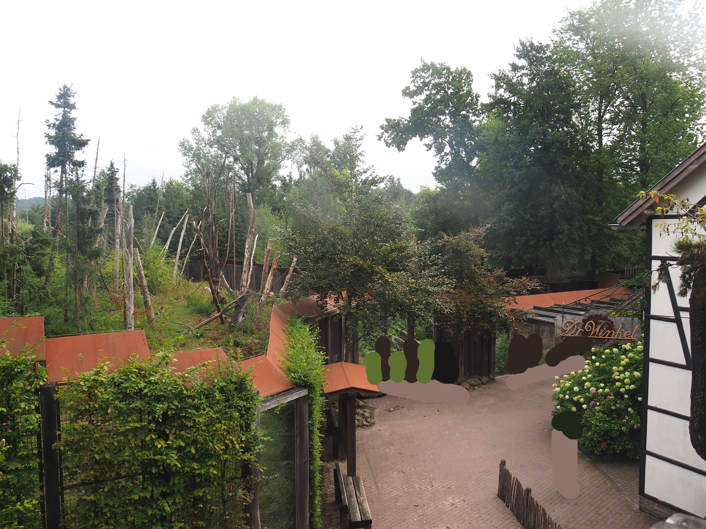 Barbary macaque viewing area seen from the walkway above the now former gift shop, 2022-08-20