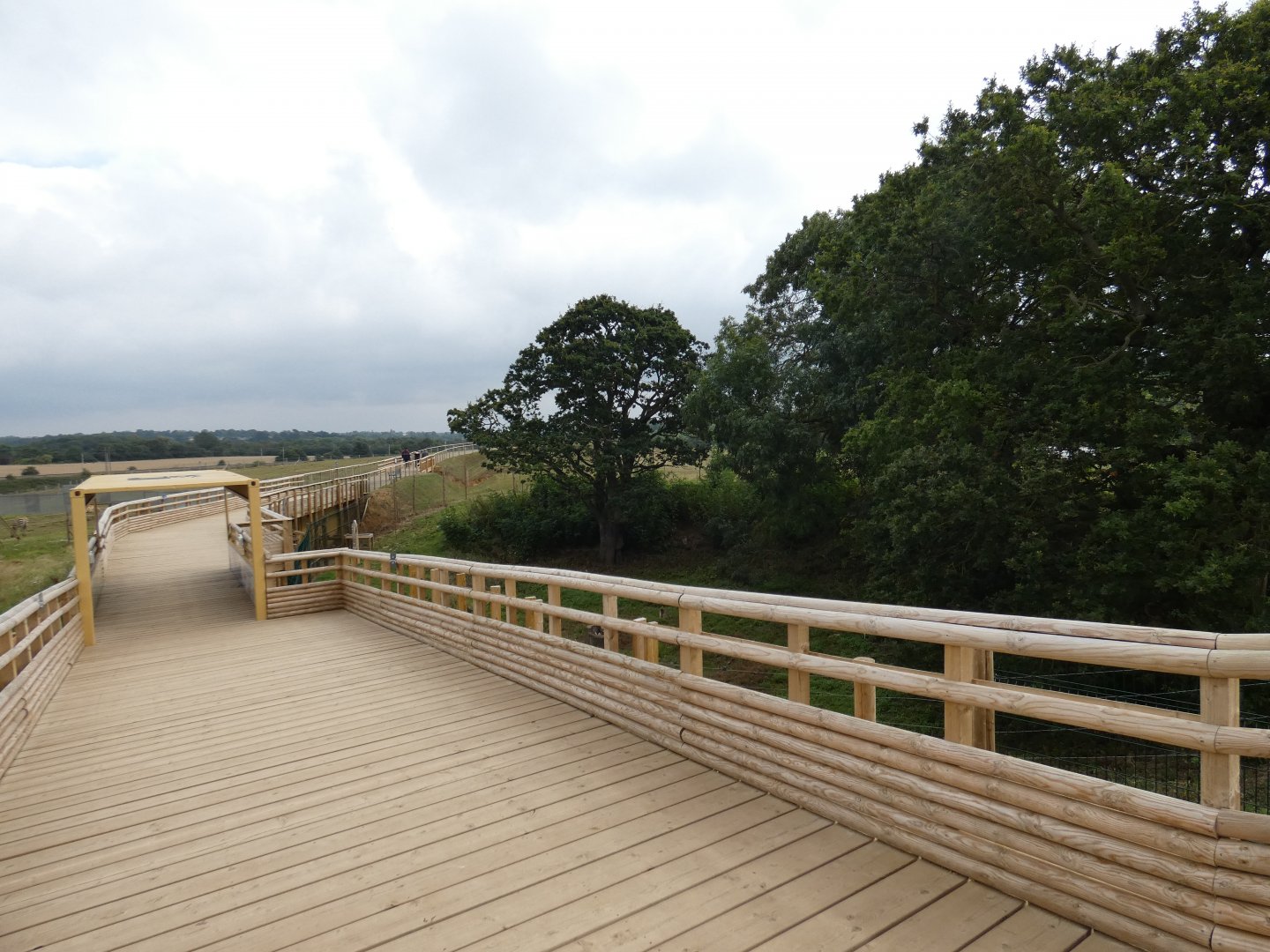 Barbary macaque viewing area