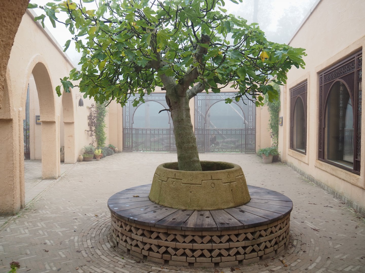 Barbary macaque viewing areas in the Moroccan pavilion, 2021-10-10