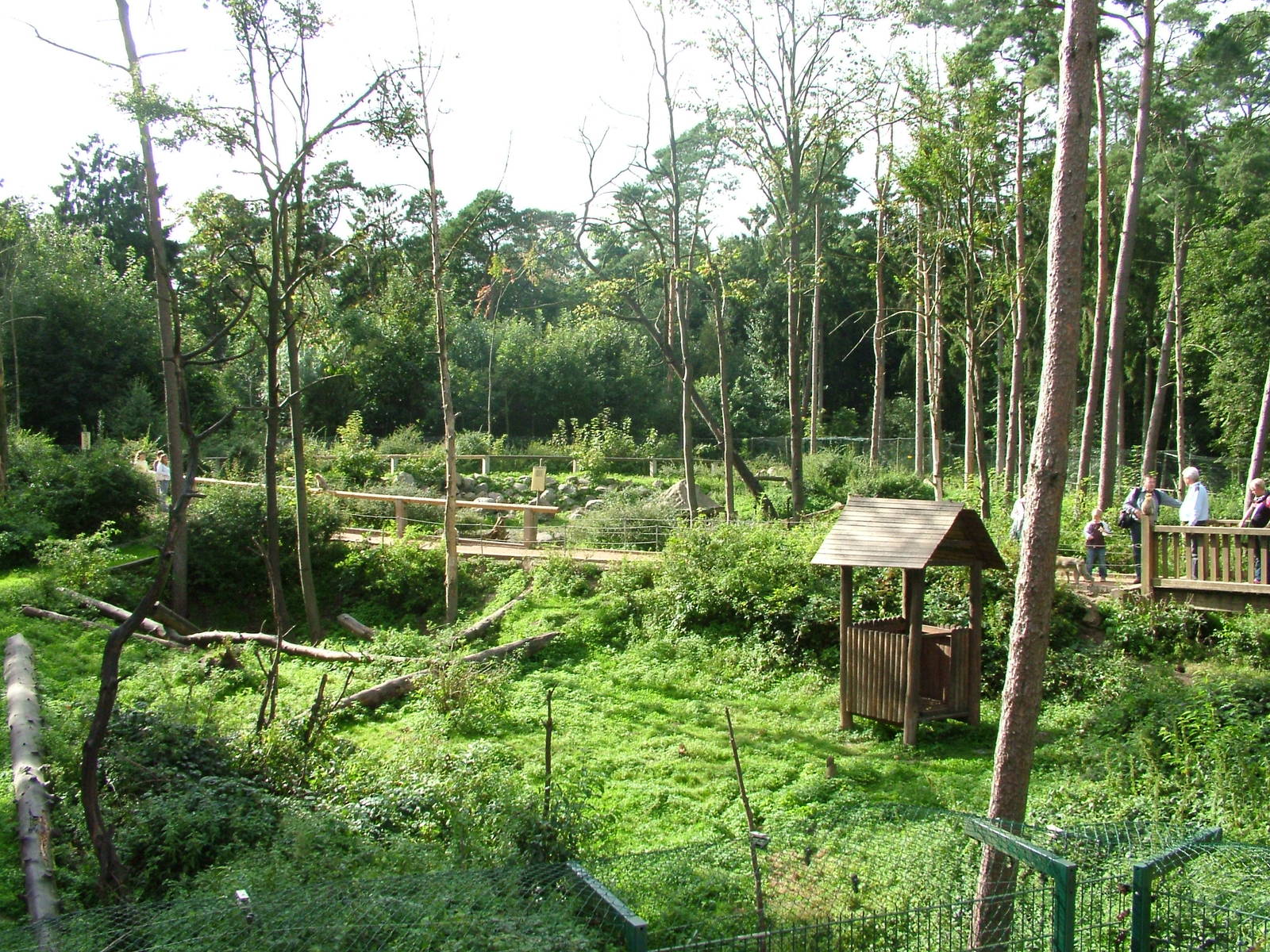 Barbary Macaque walk-through at Tierpark Neumuenster 2007