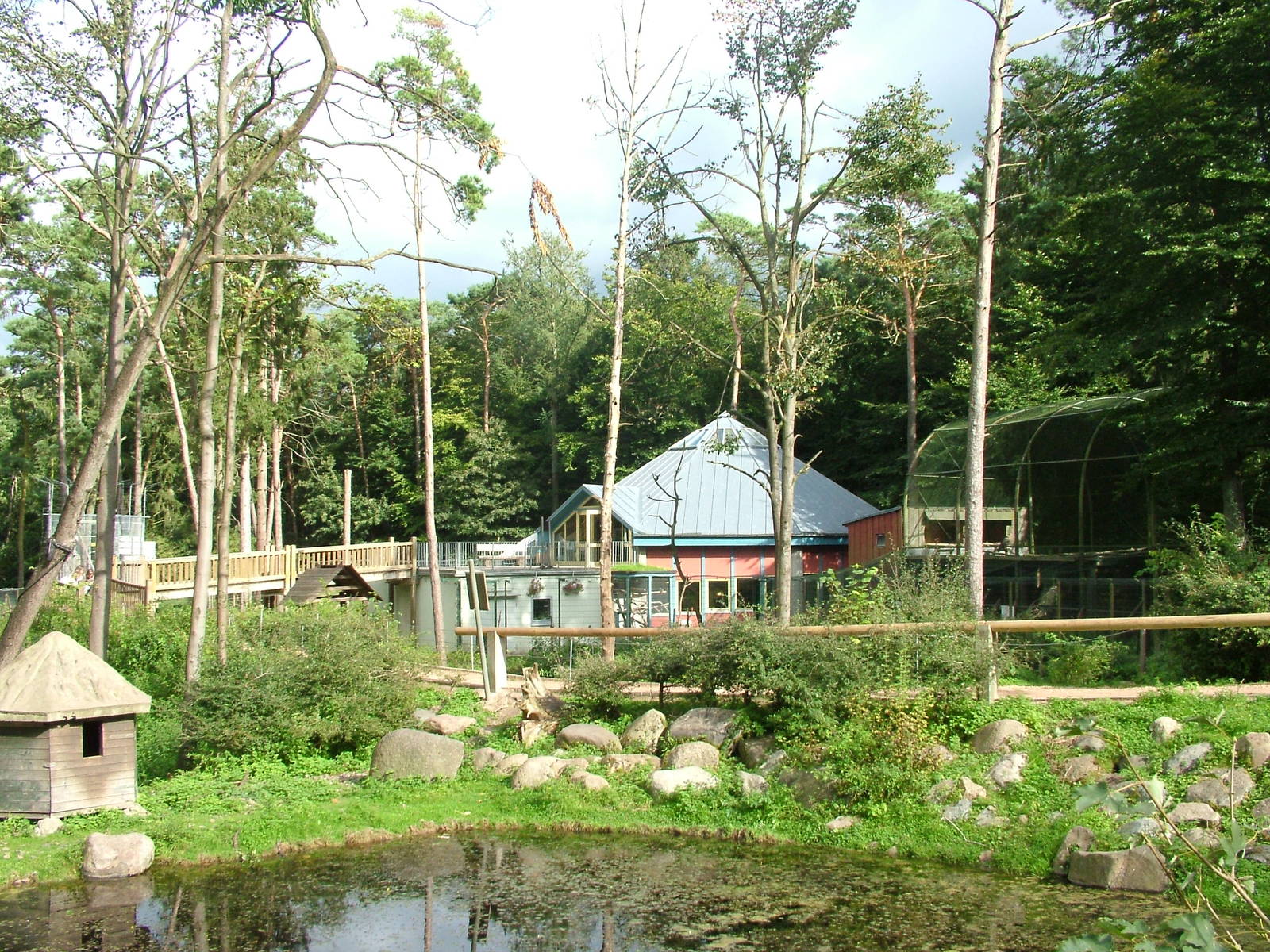 Barbary Macaque walk-through at Tierpark Neumuenster 2007