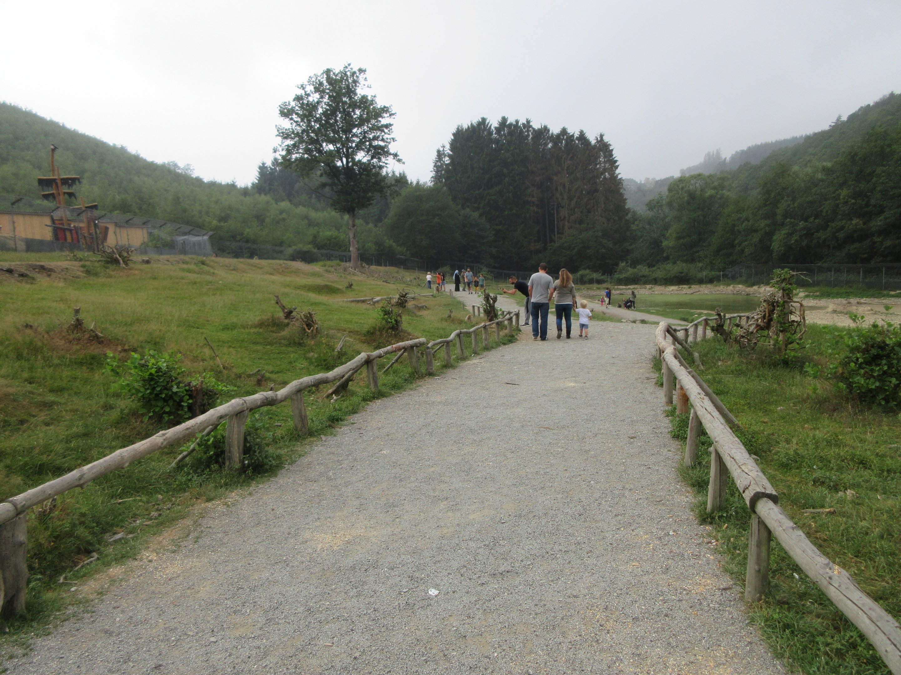 Barbary Macaque Walk-through Exhibit