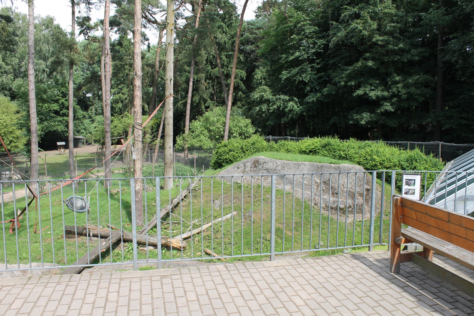 Barbary macaque walk-through