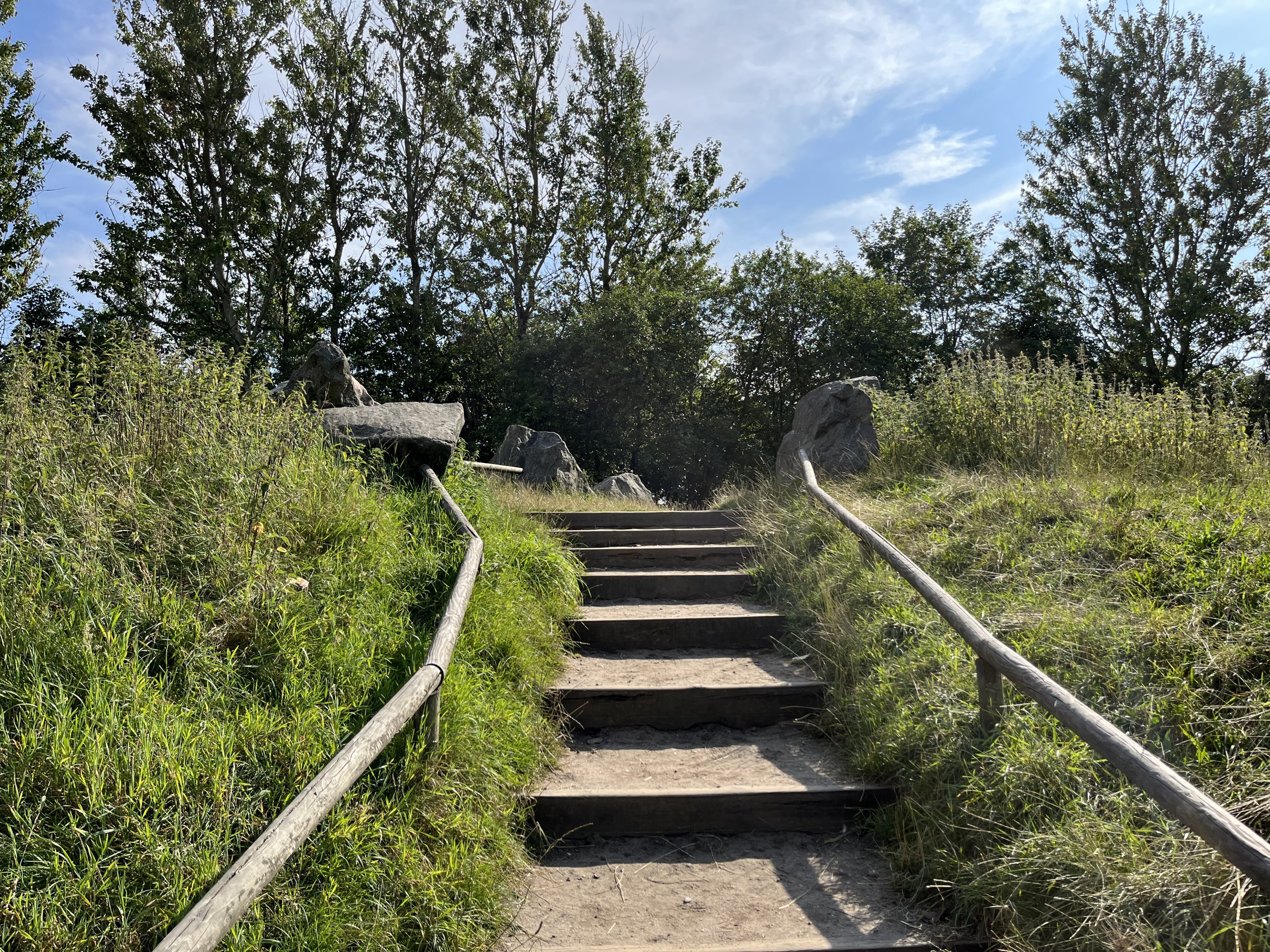 Barbary Macaque Walk Through