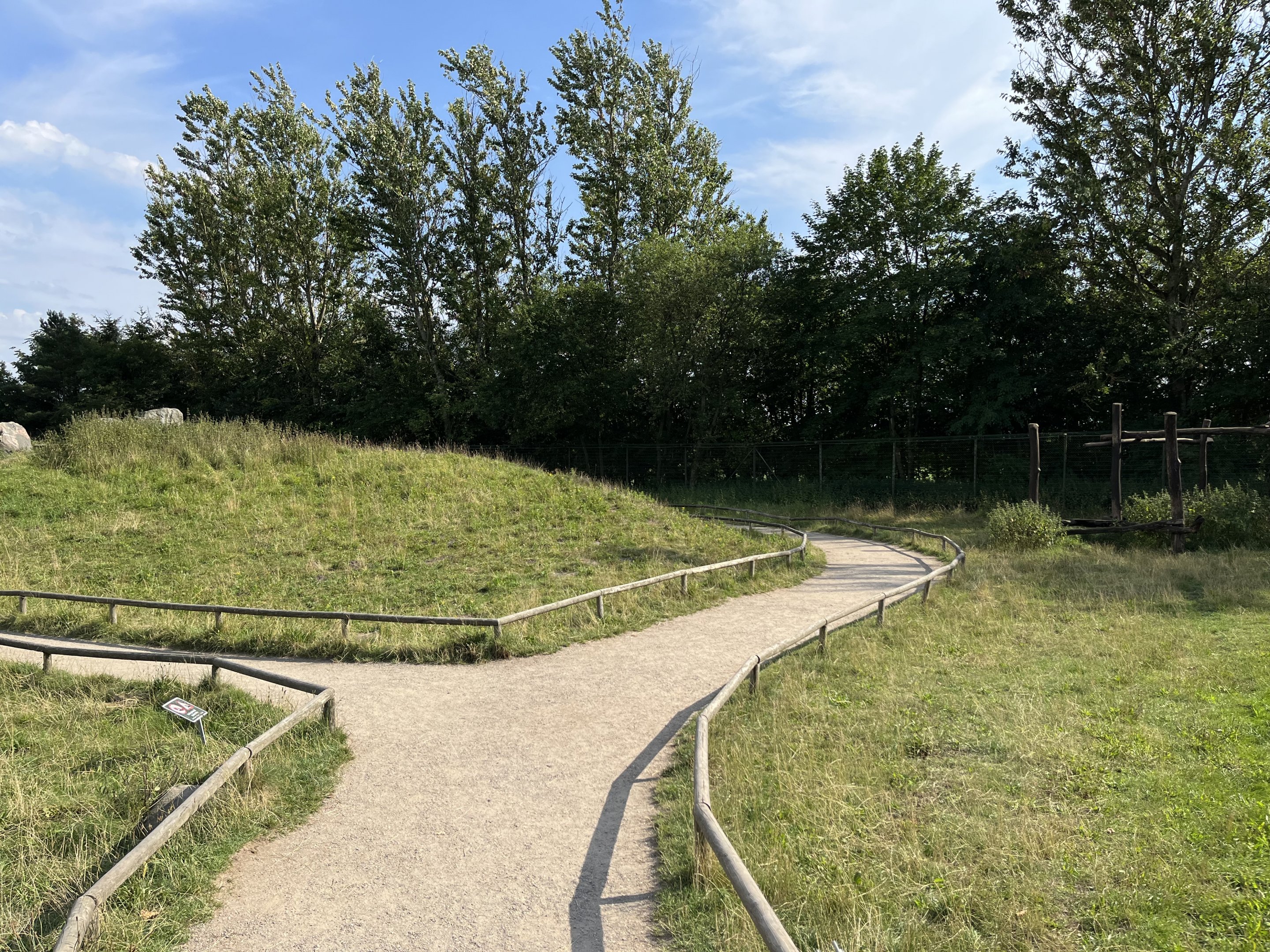Barbary Macaque Walk Through