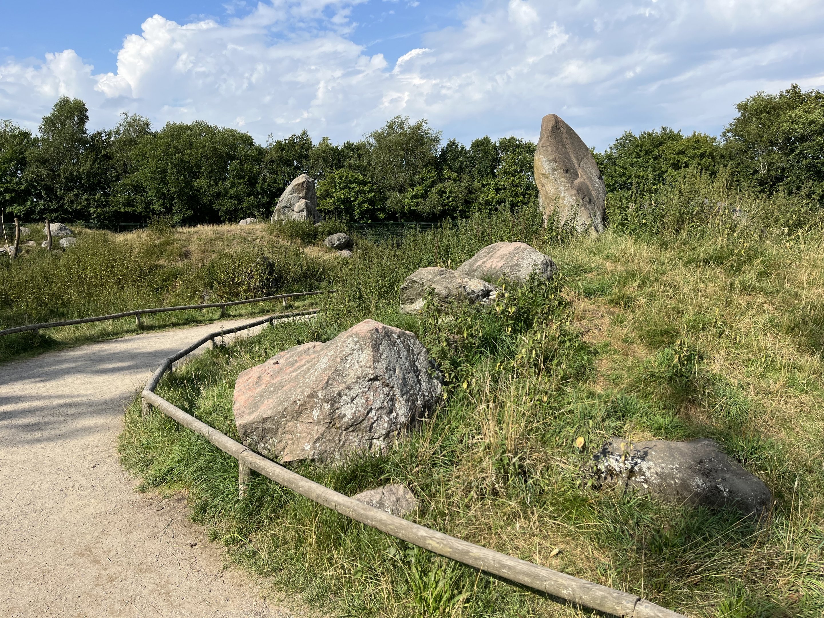 Barbary Macaque Walk Through