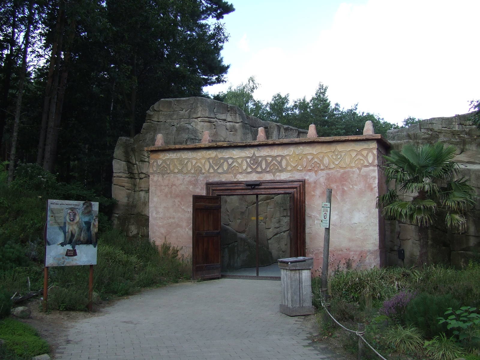 Barbary Macaque walk-through