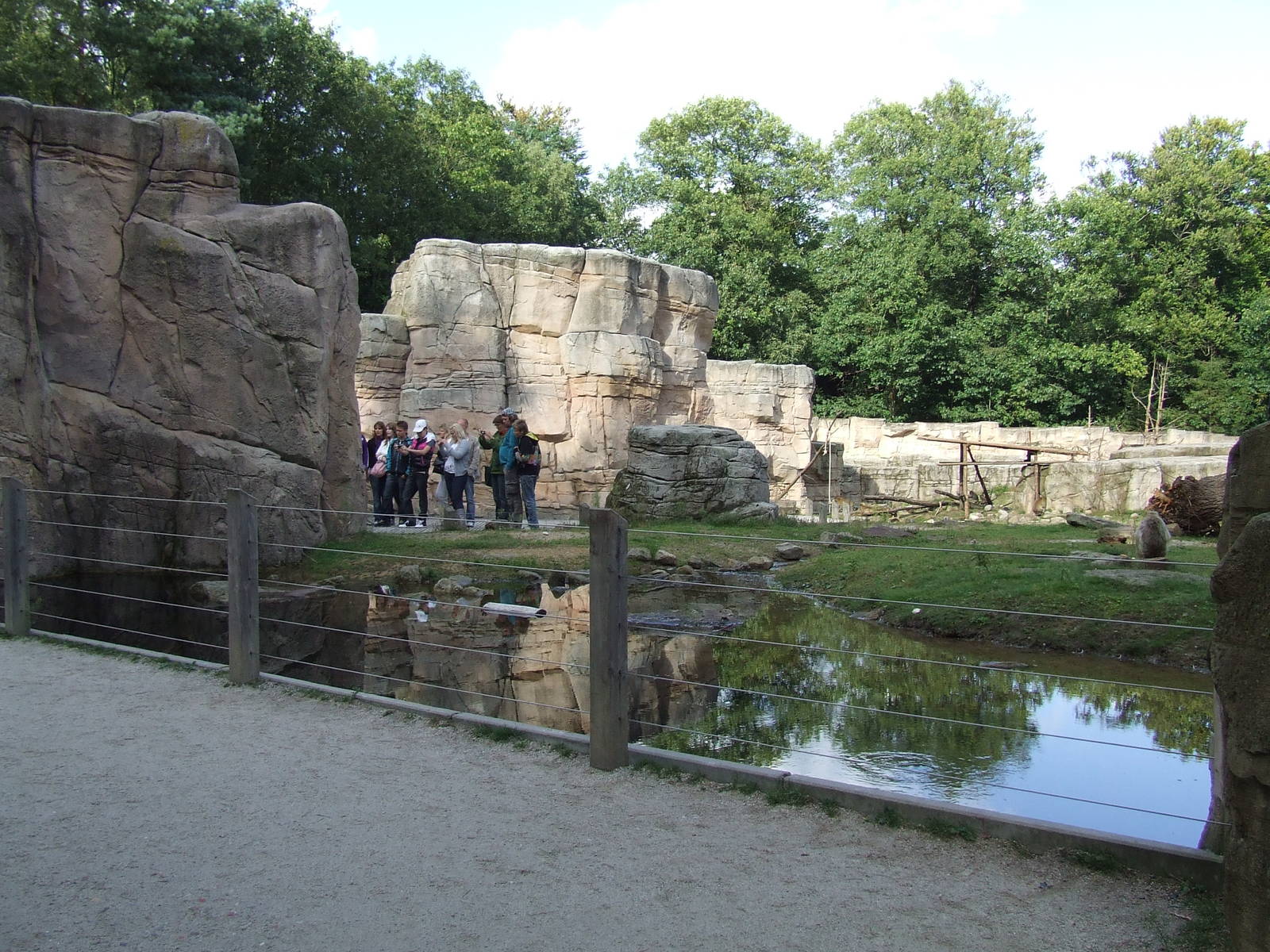 Barbary Macaque walk-through