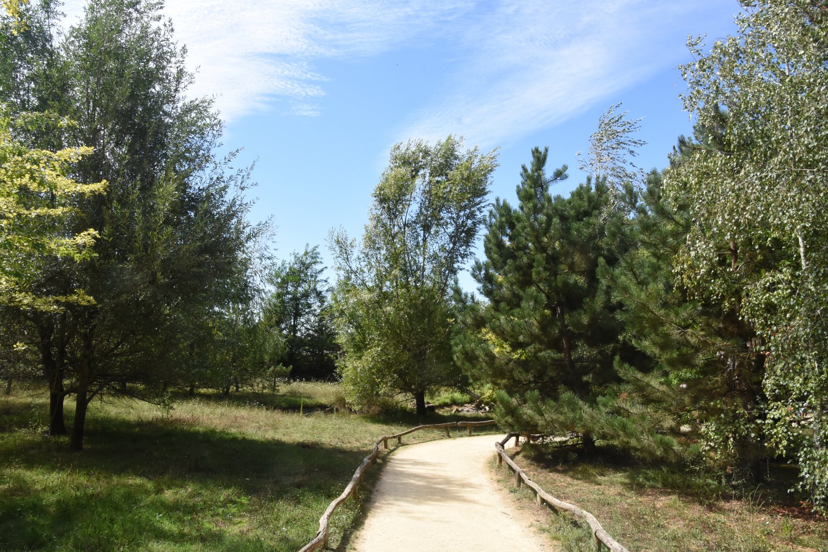 Barbary Macaque walkthrough