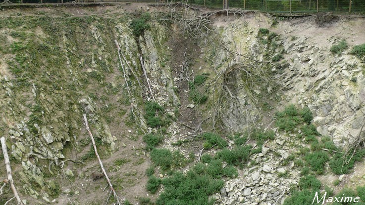 Barbary macaques and barbary sheep exhibit