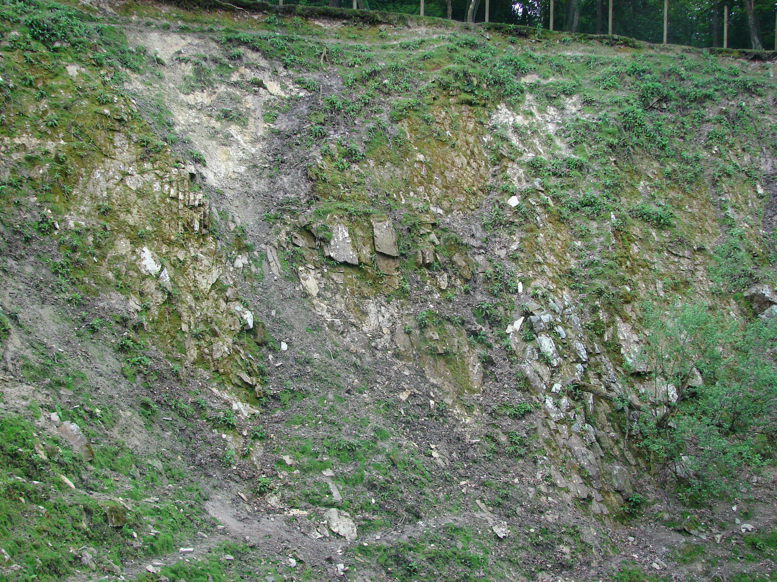 Barbary macaques and barbary sheeps exhibit