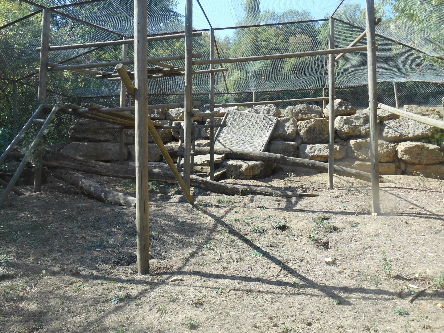 Barbary Macaques Exhibit