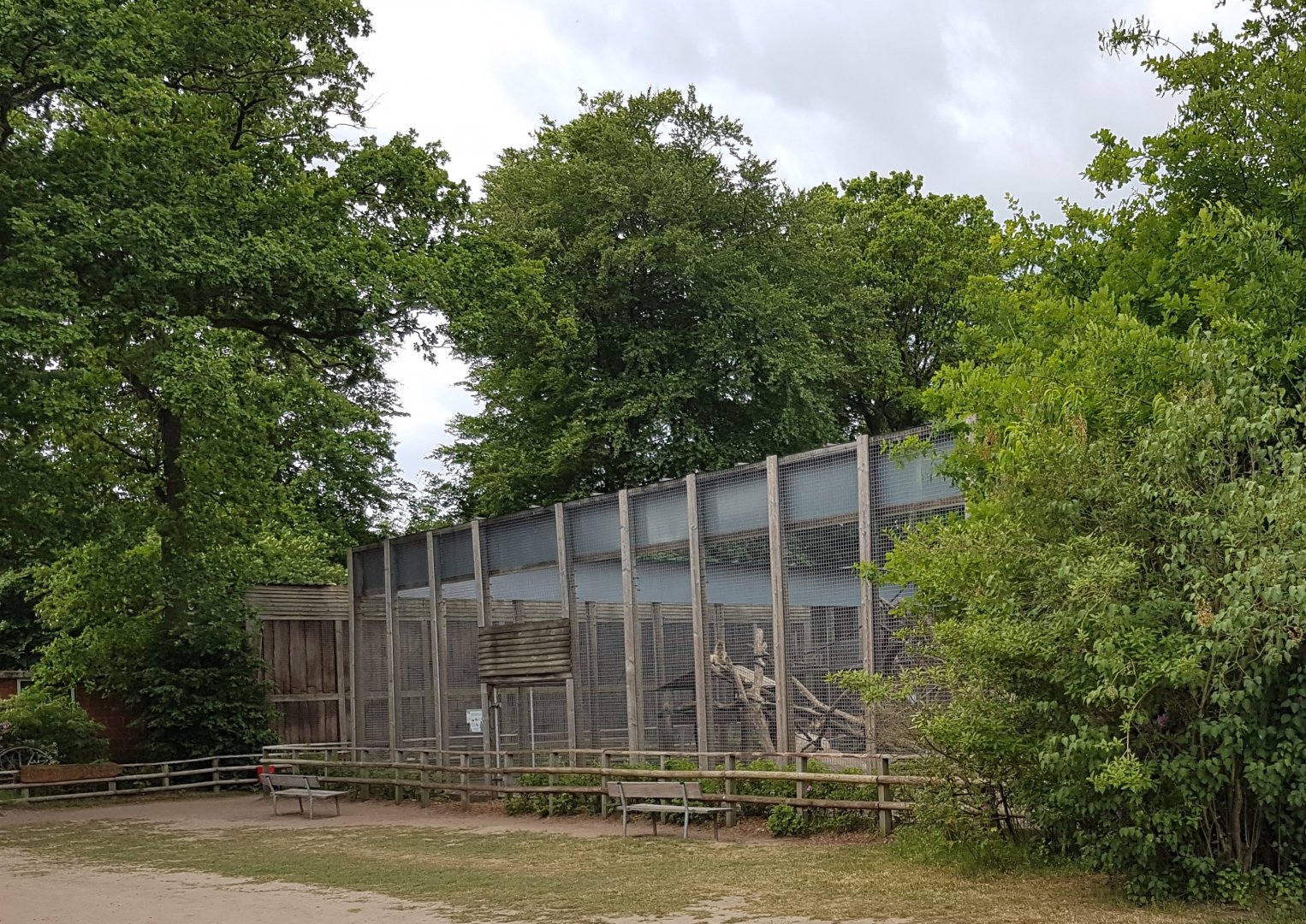 Barbary monkey-enclosure