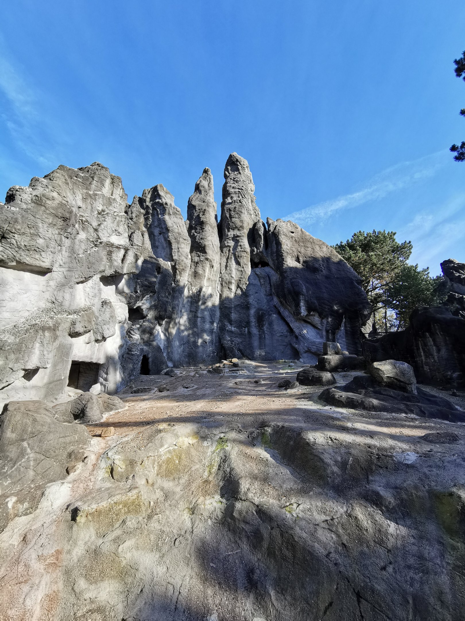 Barbary mountain - Tierpark Hagenbeck