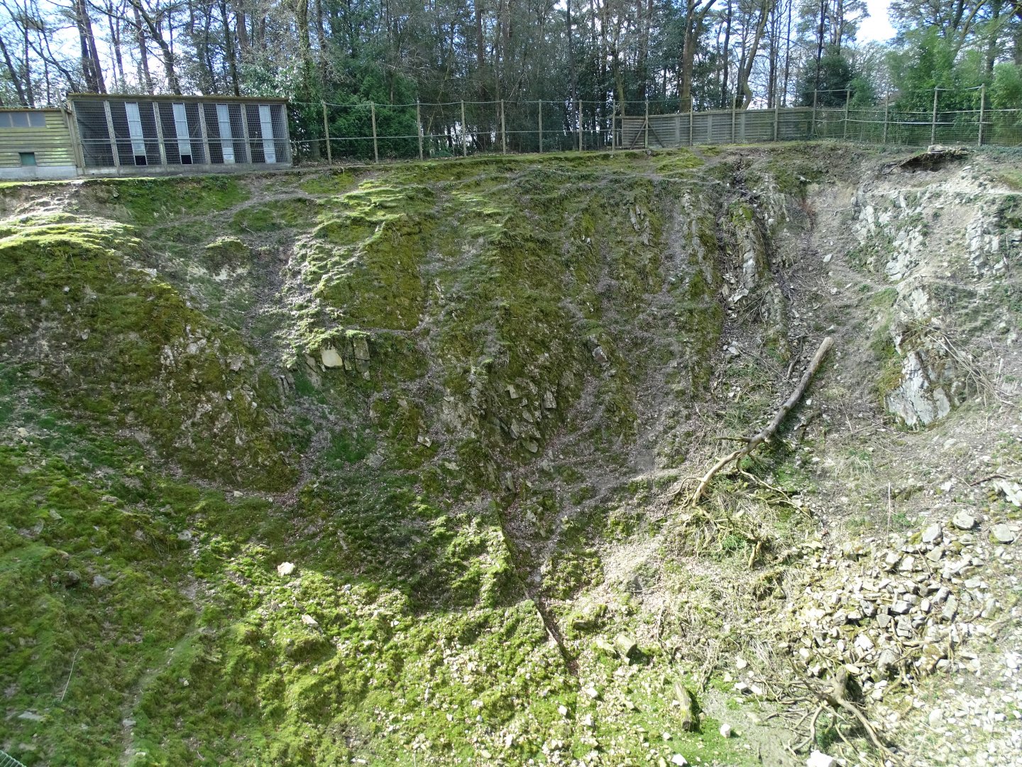 Barbary sheep (Ammotragus lervia) and Barbary macaque (Macaca sylvanus) exhibit