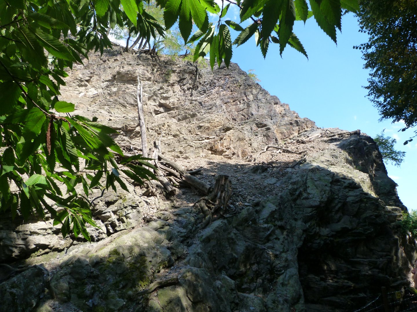 Barbary sheep and Barbary macaque exhibit -Zoo Praha (2025)