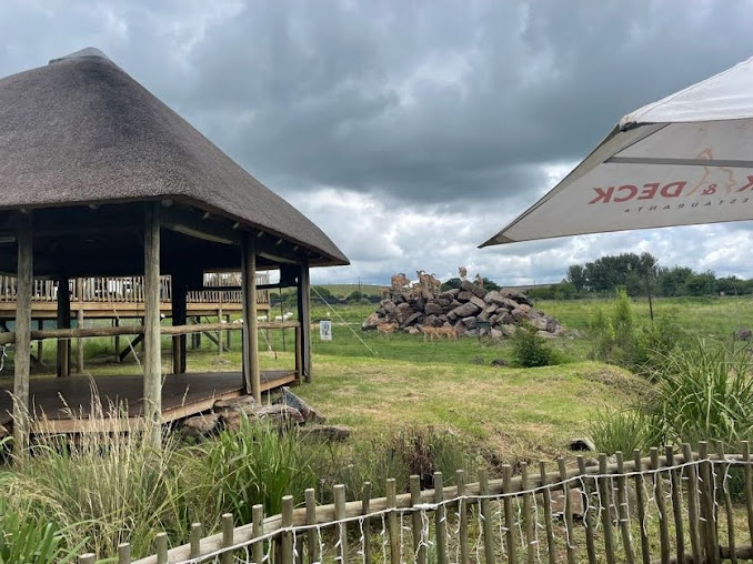 Barbary Sheep, Arabian Oryx and Emu Exhibit (Ammotragus lervia, Oryx leucoryx, Dromaius novaehollandiae)