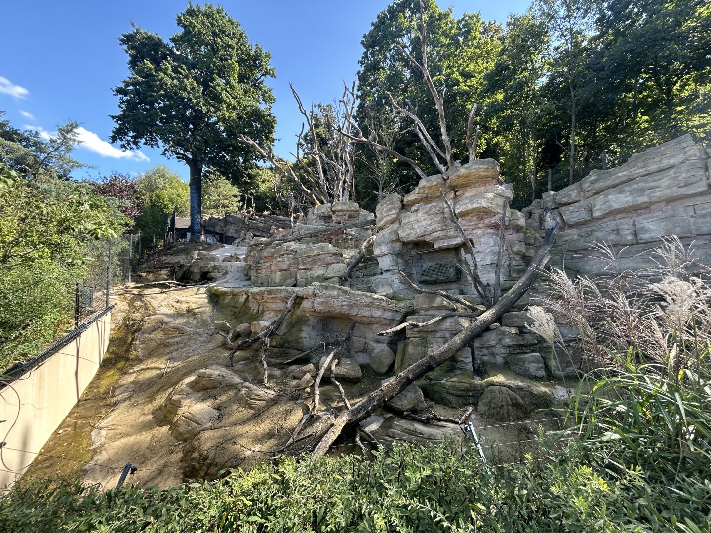 Barbary Sheep & Barbary Macaque Exhibit