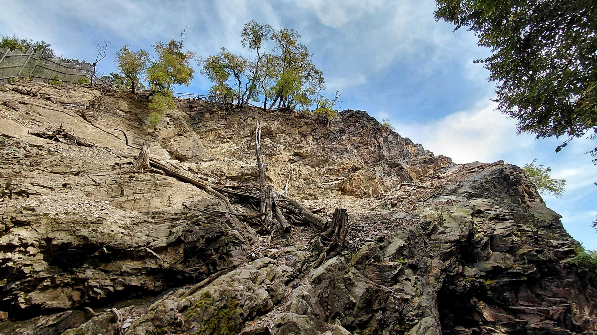 Barbary sheep + Barbary macaque exhibit