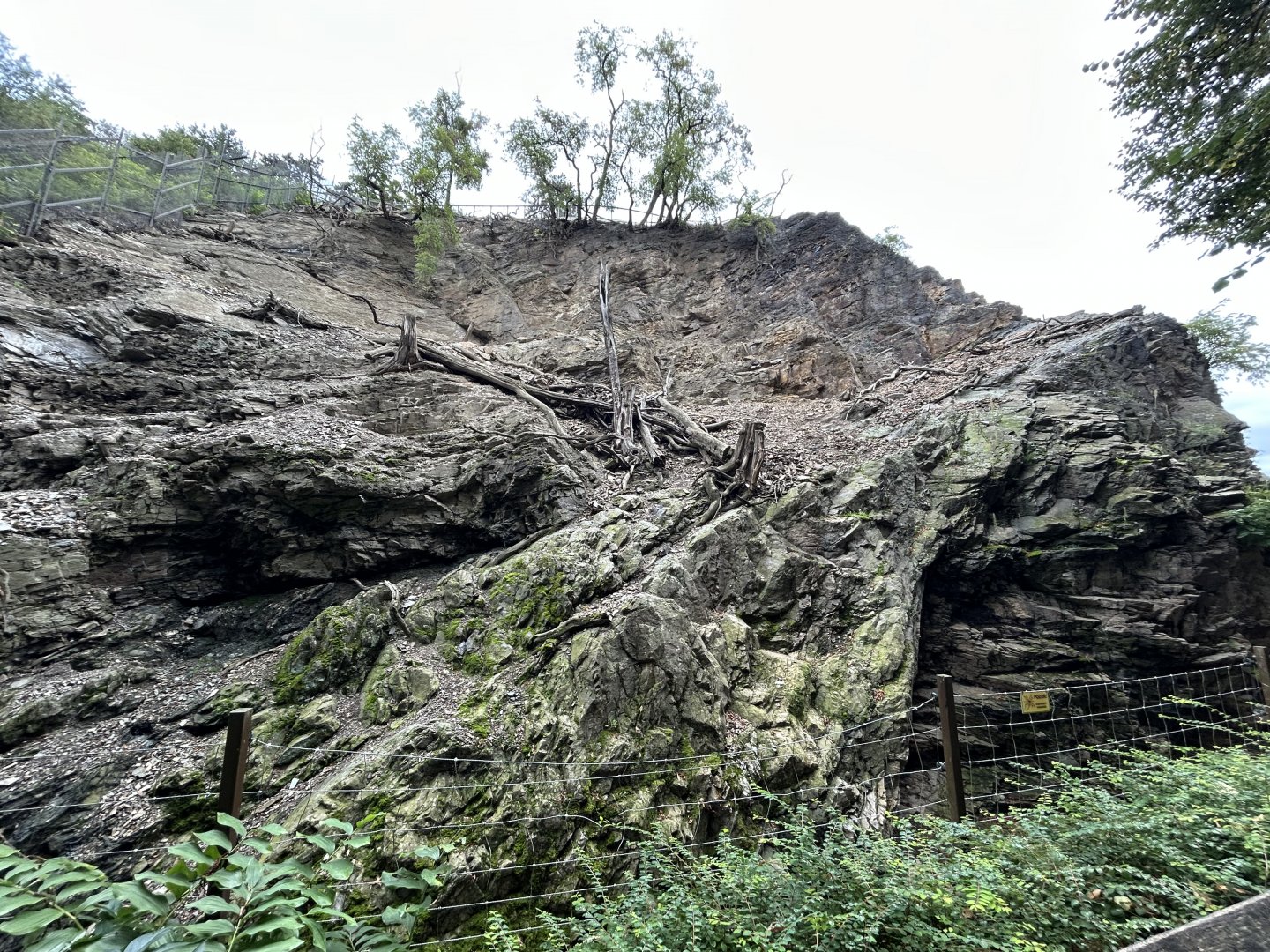 Barbary Sheep & Barbary Macaque Exhibit
