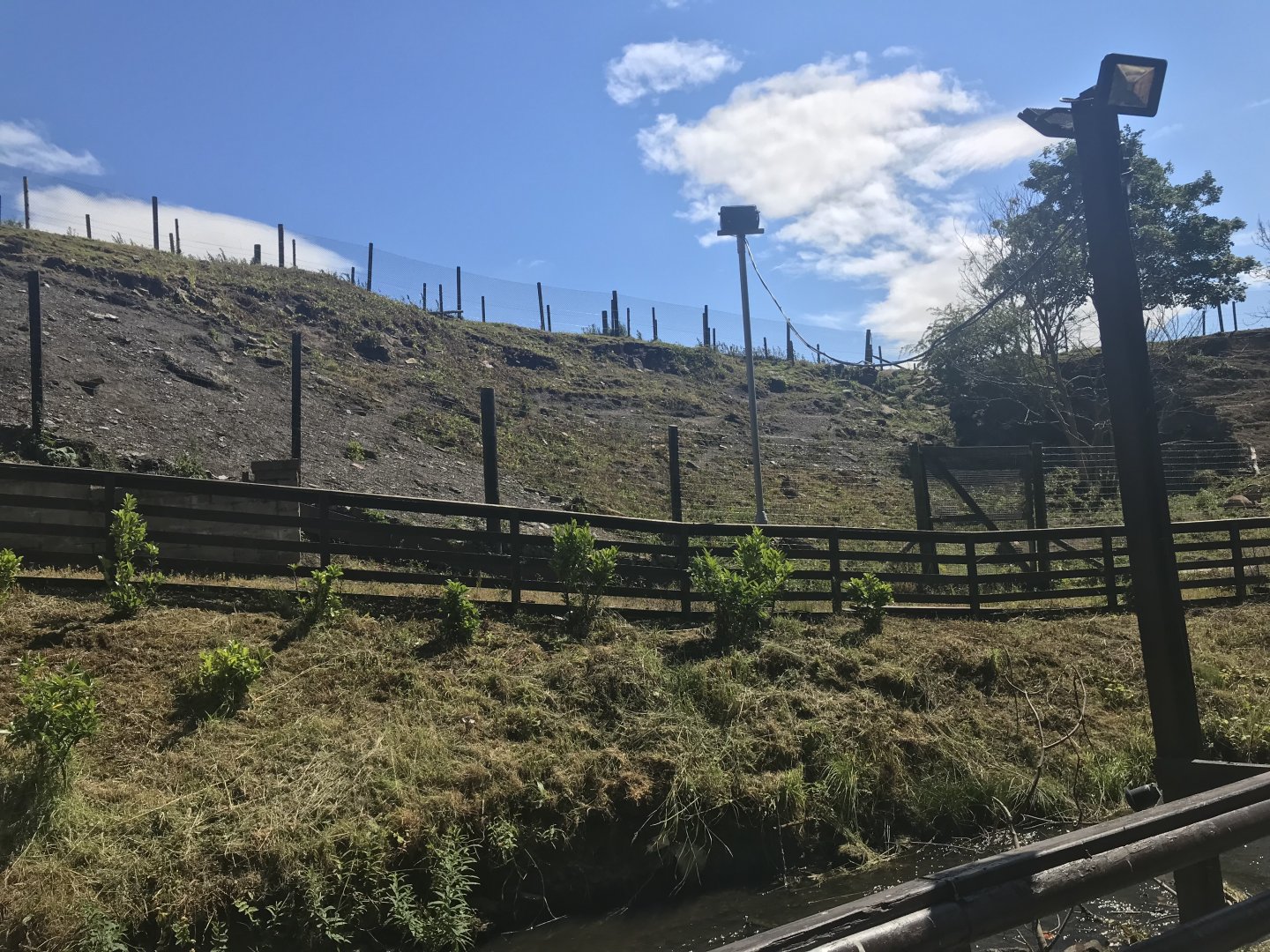 Barbary sheep enclosure (2)