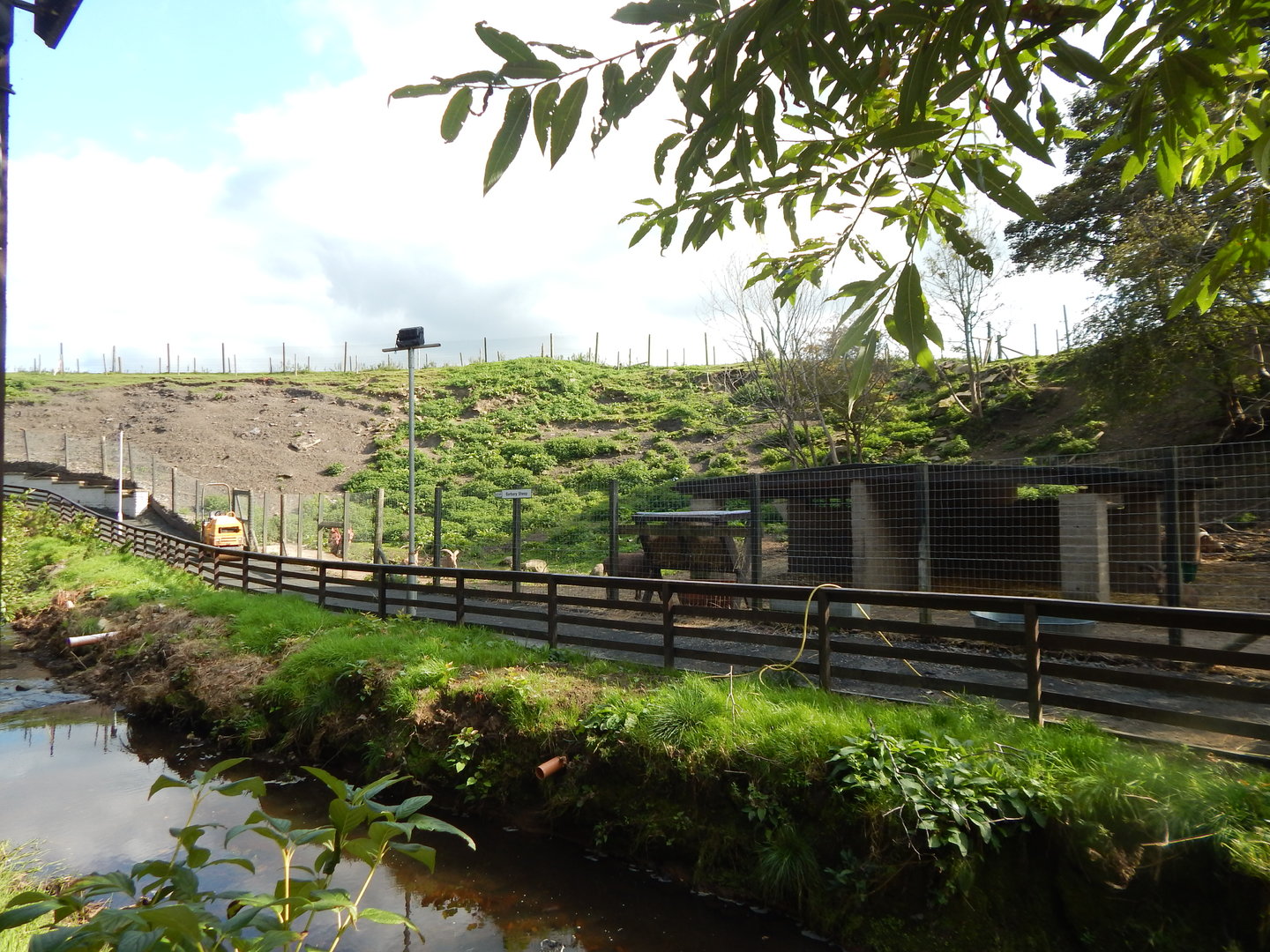 Barbary sheep enclosure 200922