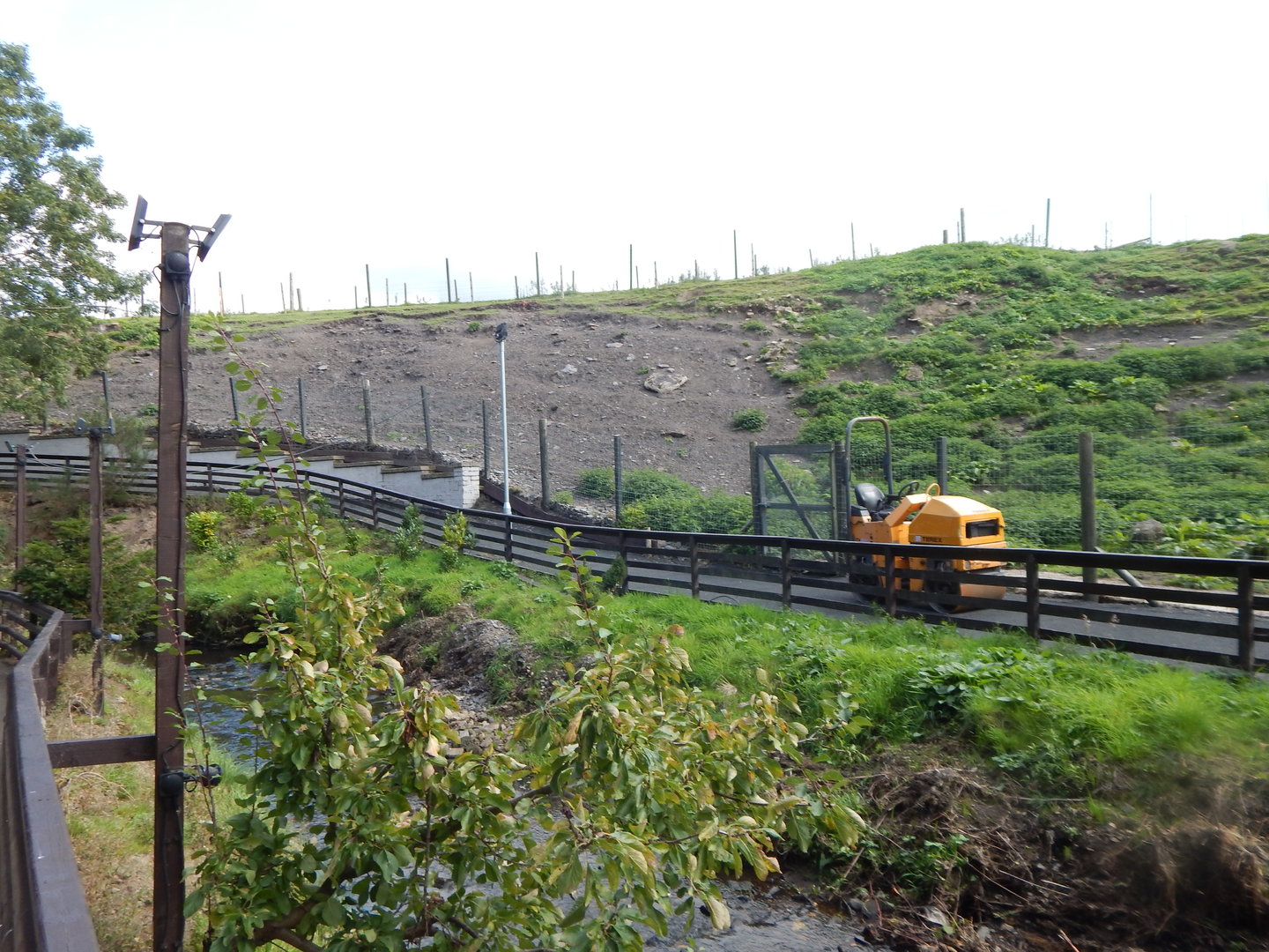Barbary sheep enclosure 200922