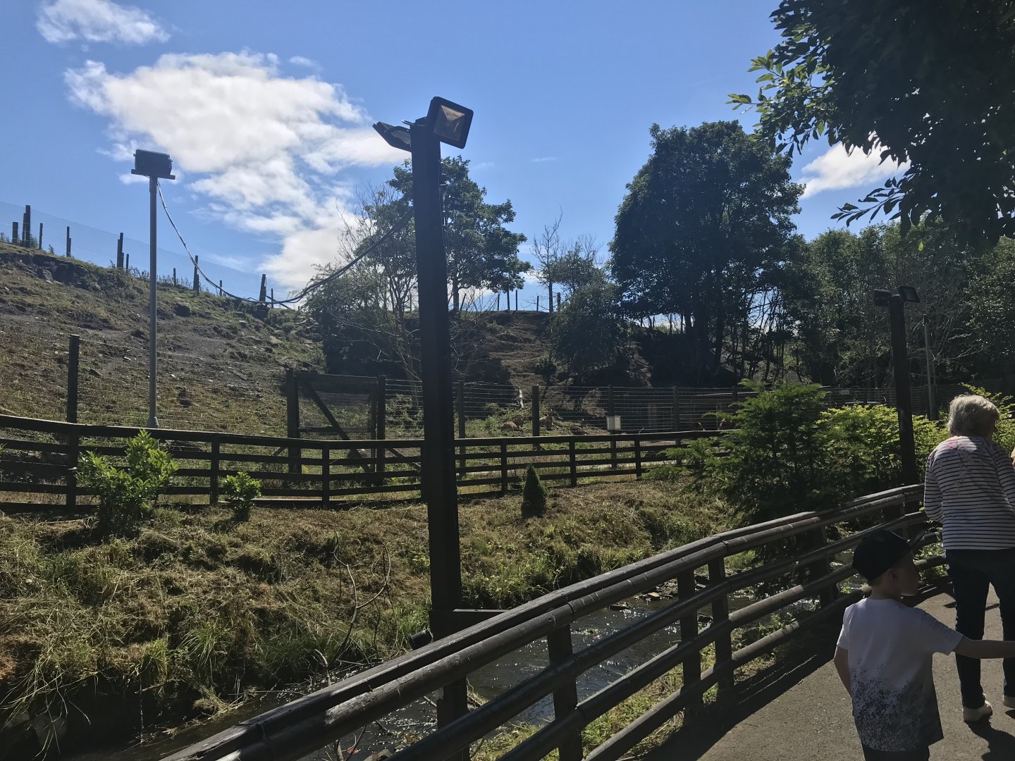 Barbary sheep enclosure (3)