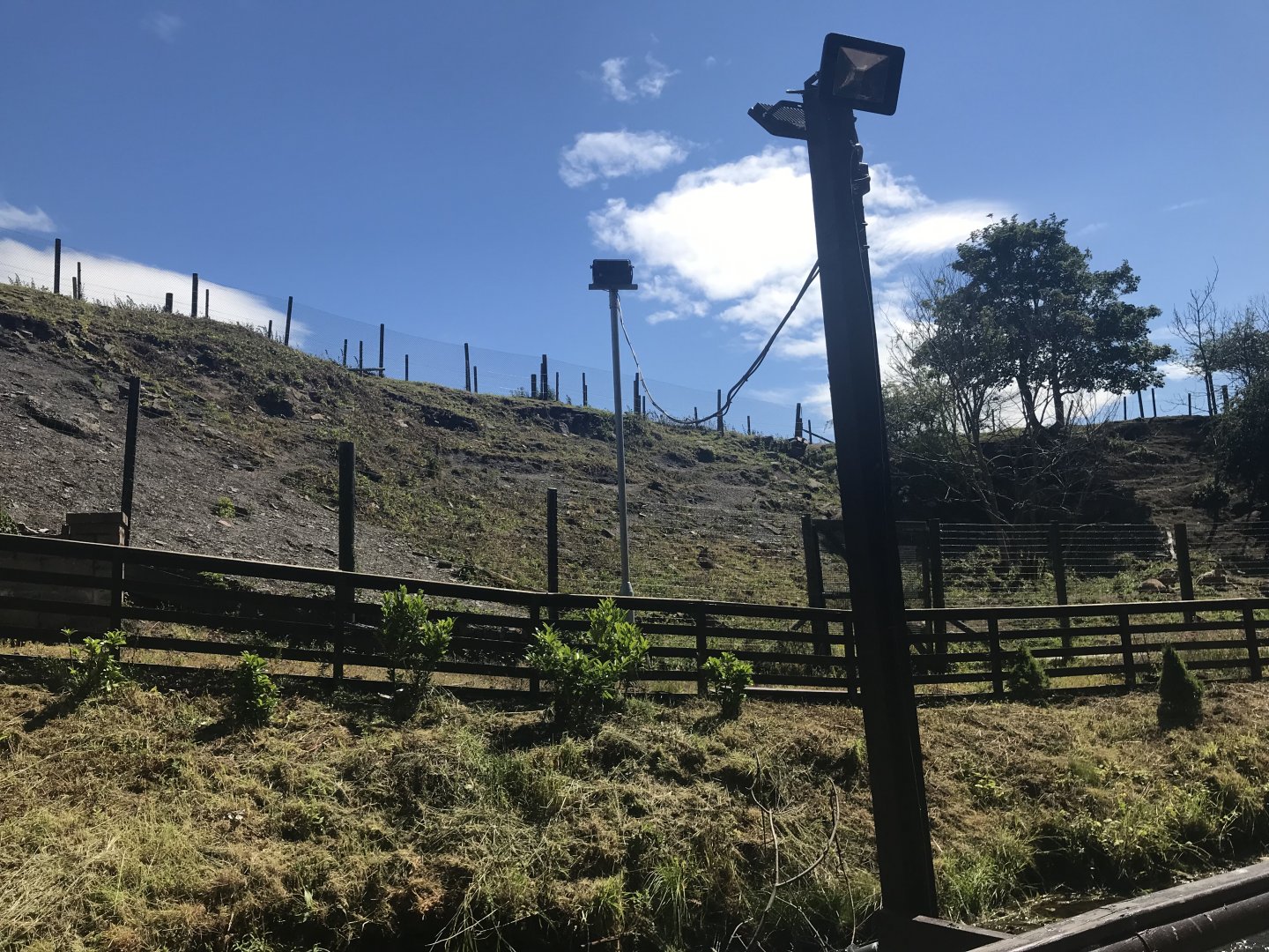 Barbary sheep enclosure (4)