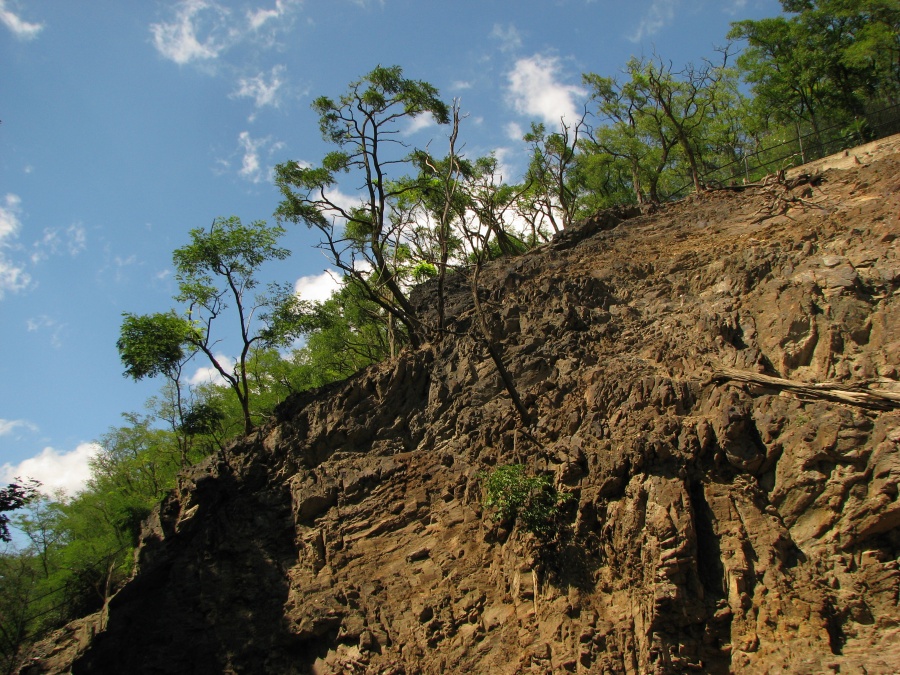 Barbary Sheep enclosure at Prague zoo