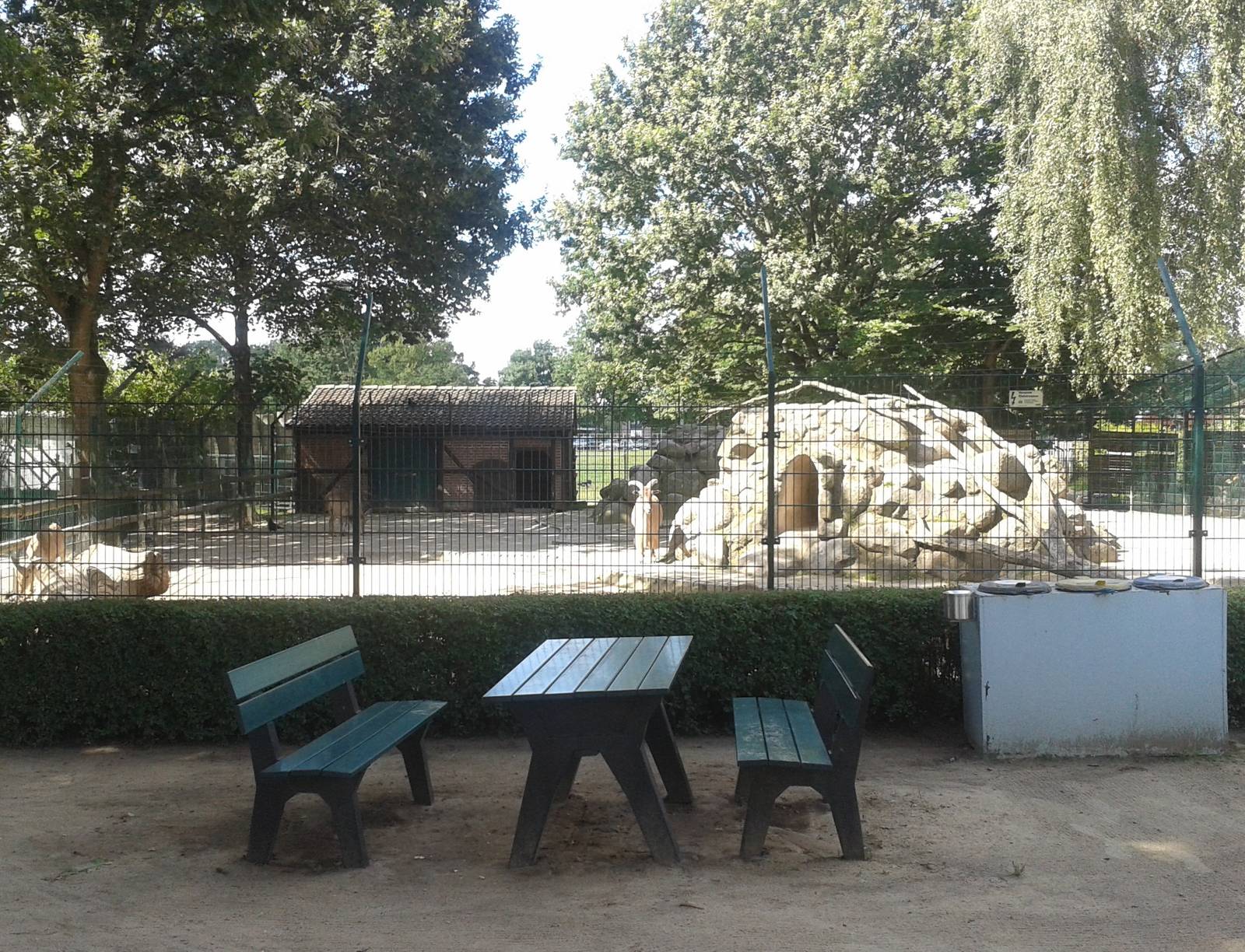 Barbary sheep enclosure