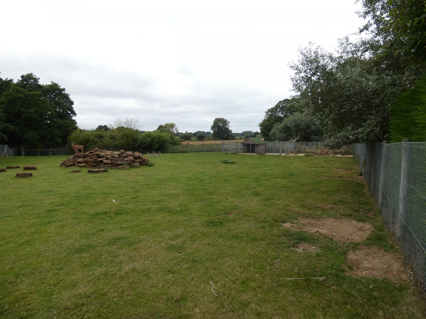 Barbary sheep enclosure
