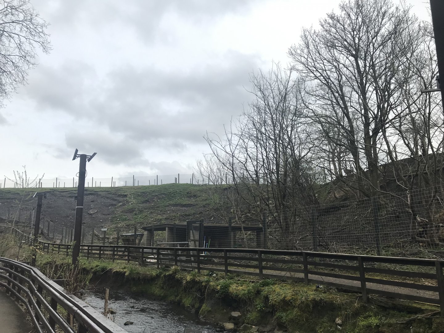Barbary sheep enclosure