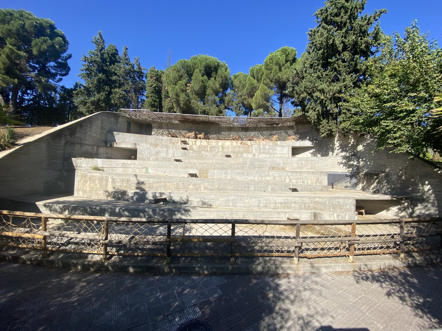 Barbary sheep enclosure