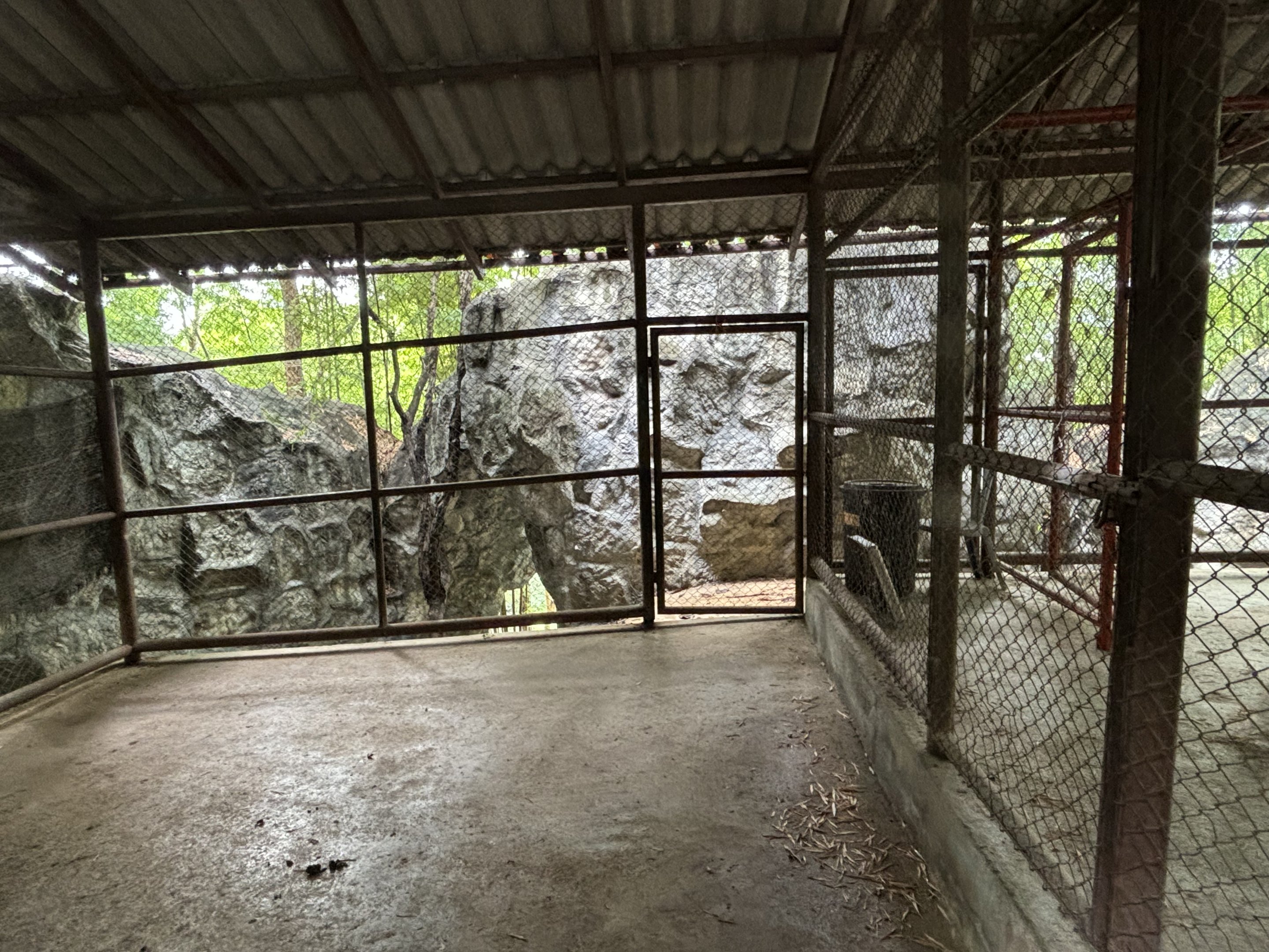Barbary Sheep Exhibit - indoor quarters