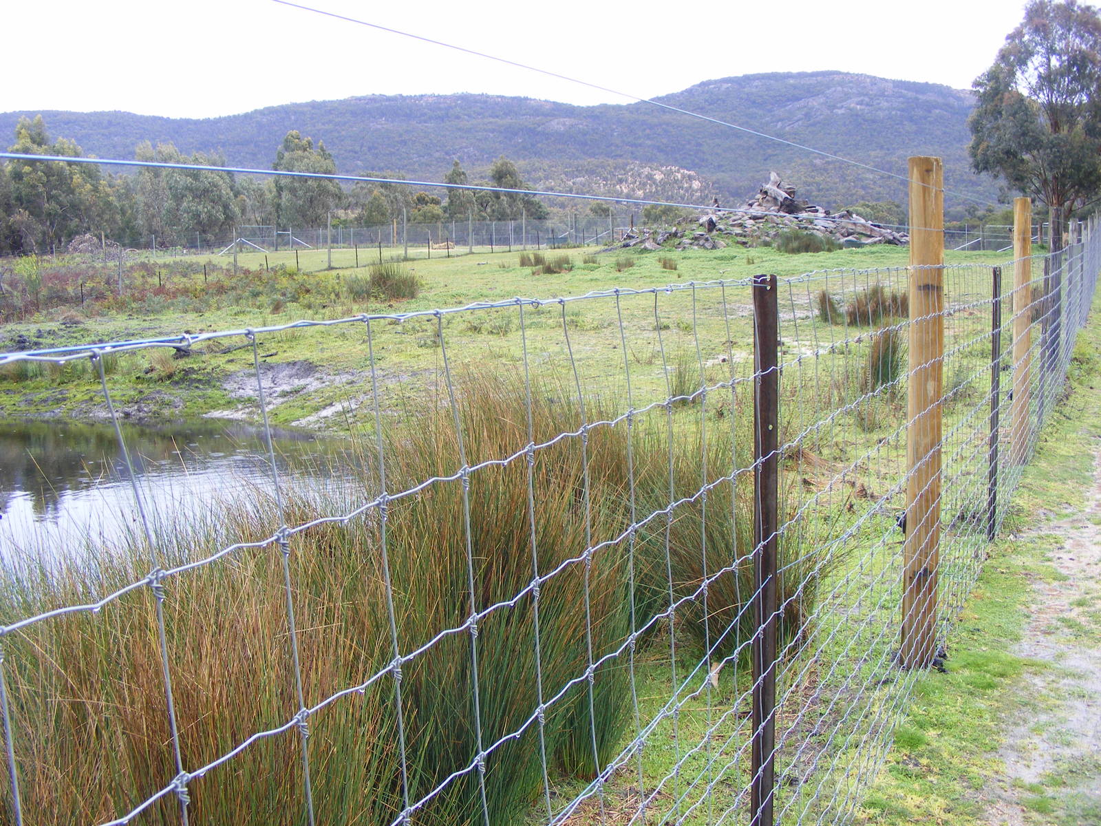 Barbary Sheep Exhibit - September, 2009