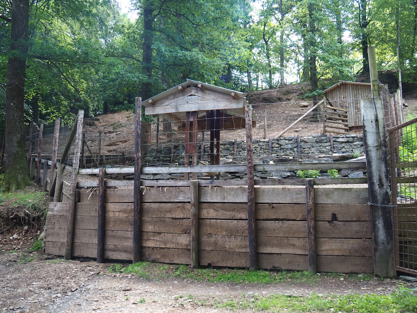 Barbary sheep feeding area, 2023-06-24