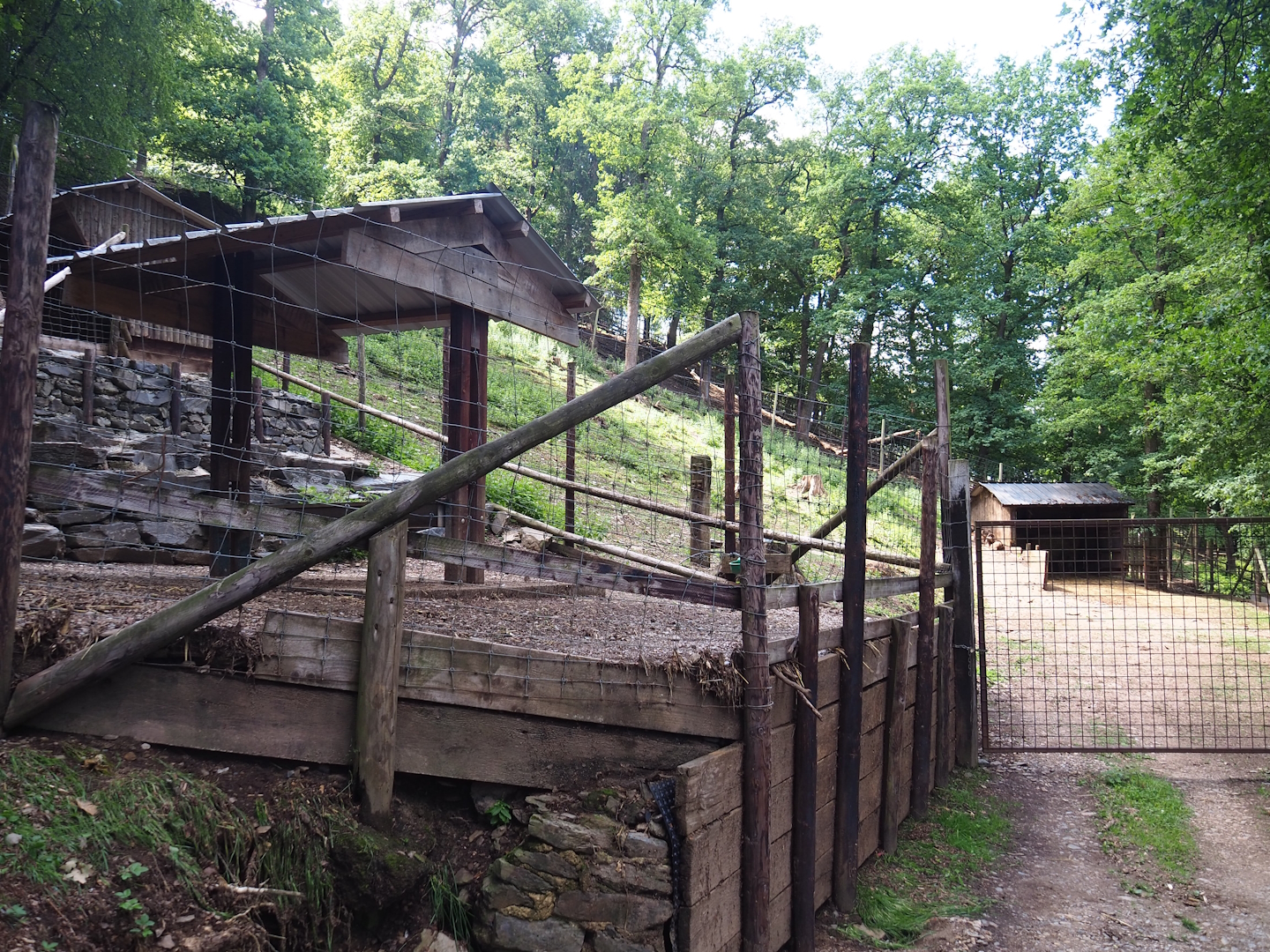 Barbary sheep feeding area, 2023-06-24
