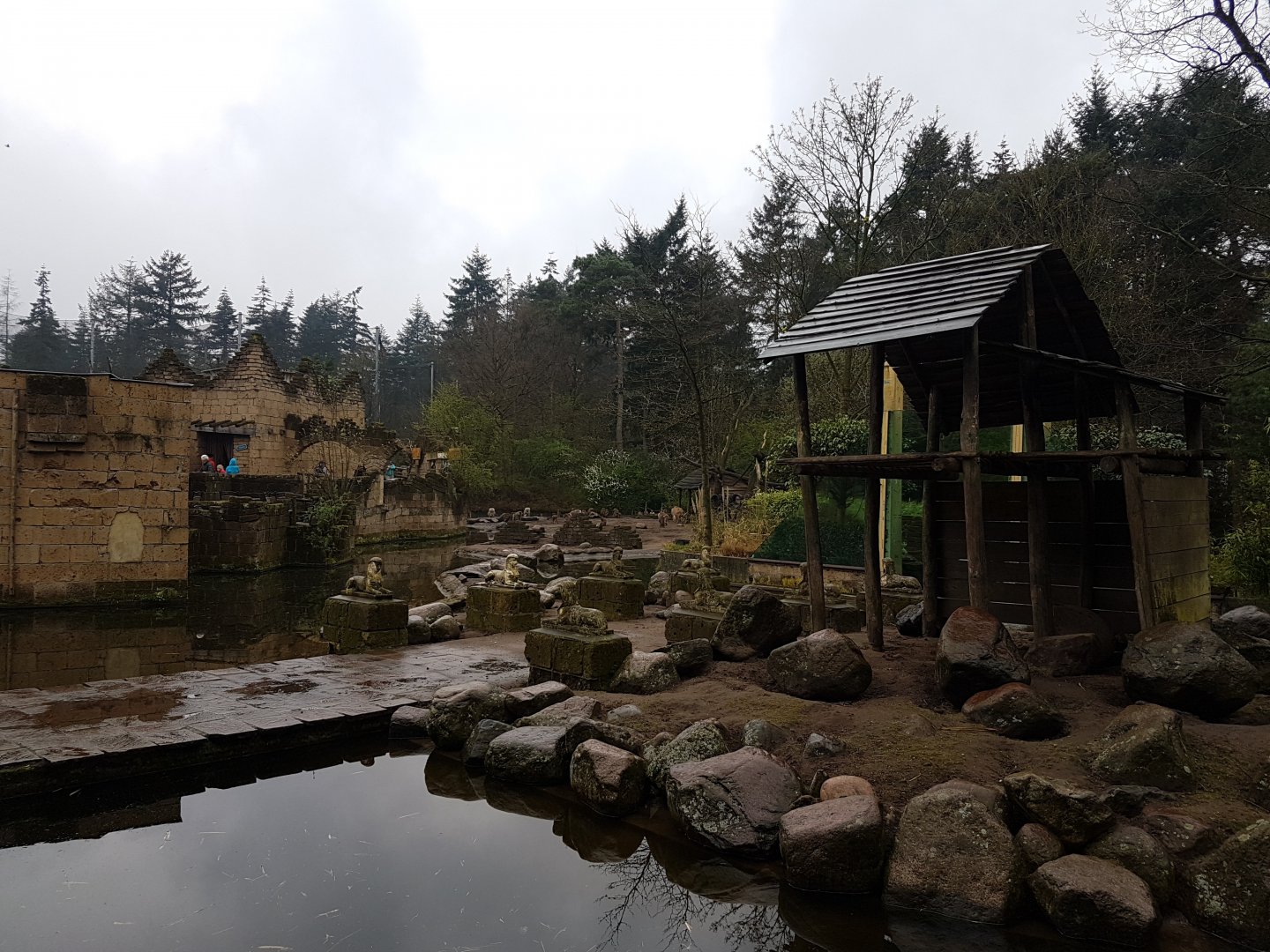 Barbary sheep - Hamadryas baboon enclosure