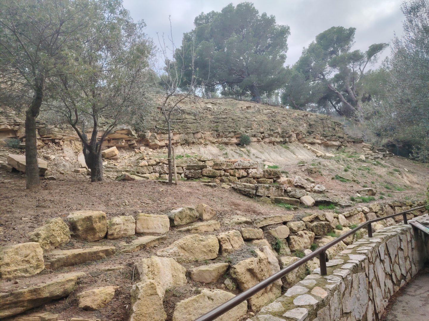 Barbary Sheep Mountain
