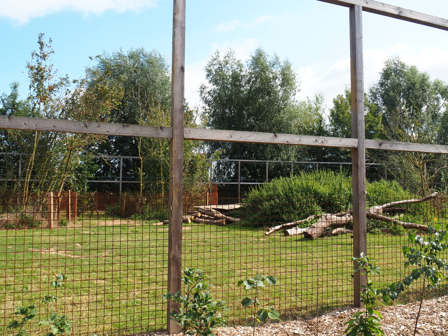 Barbary sheep paddock, 2020-09-12