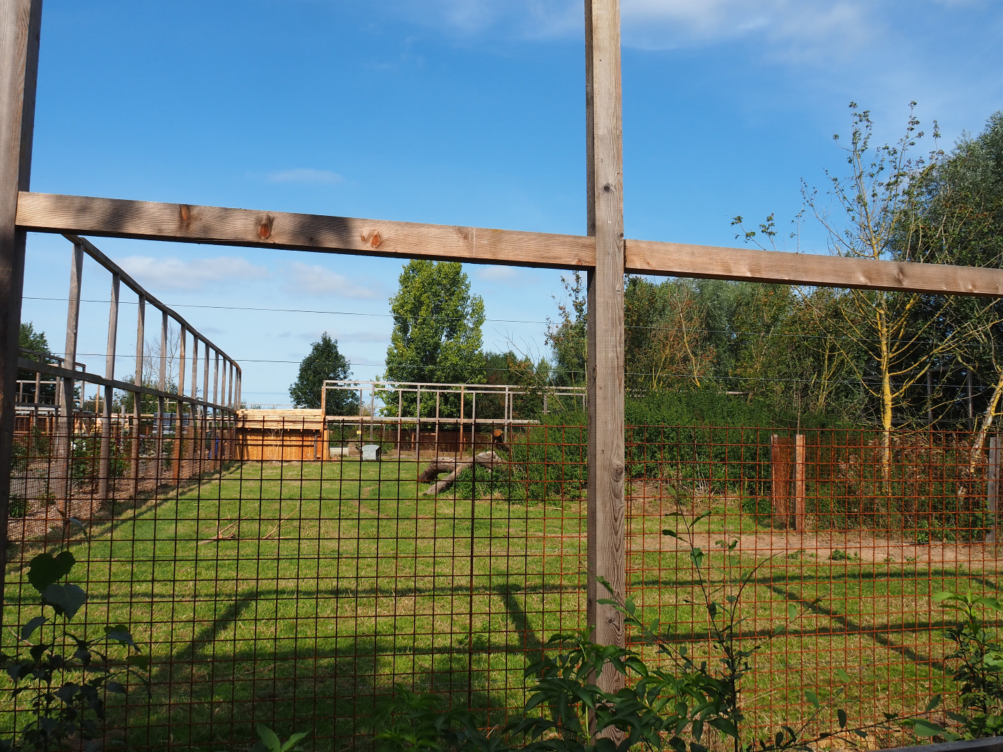Barbary sheep paddock, 2020-09-12