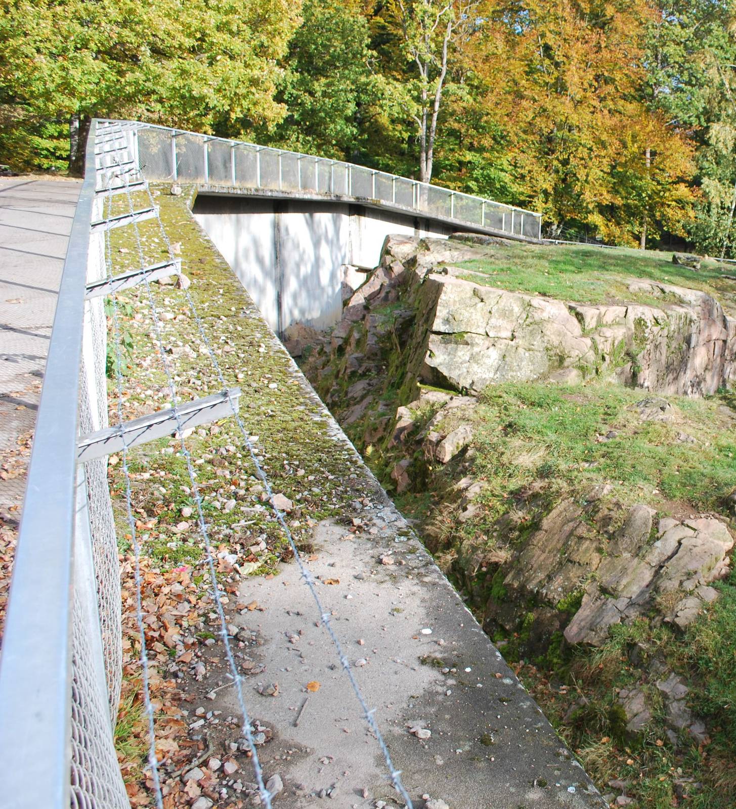 BARBED WIRE just gave me an idea!