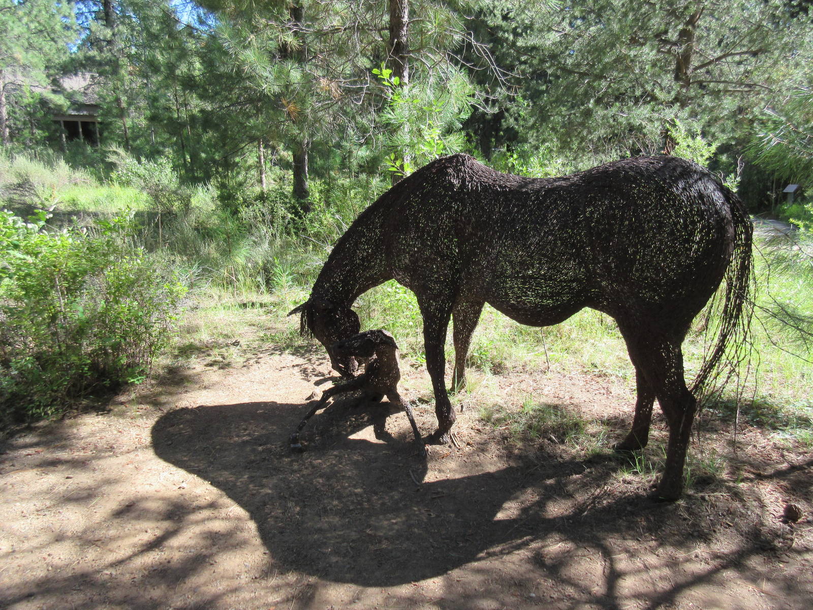 Barbed-Wire Sculpture - Mare + Foal