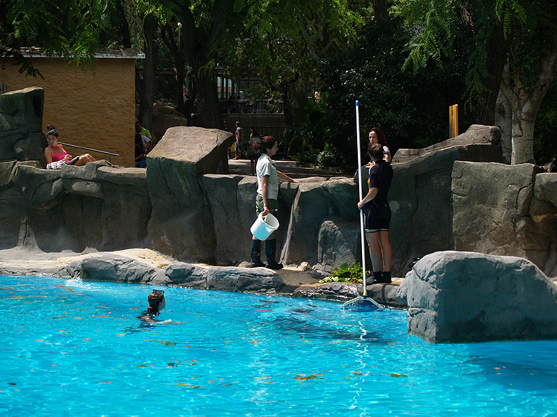 Barcelona Zoo - Cleaning the seals pool